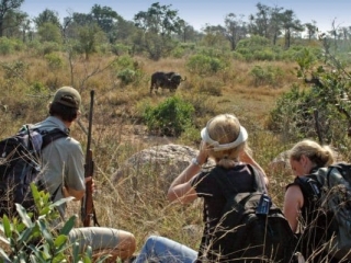 Lukimbi Safari Lodge