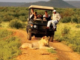 Madikwe Hills Private Game Lodge 5 Madikwe Hills Private Game Lodge