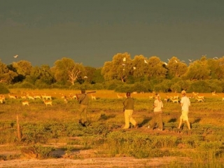 Kakuli Bush Camp