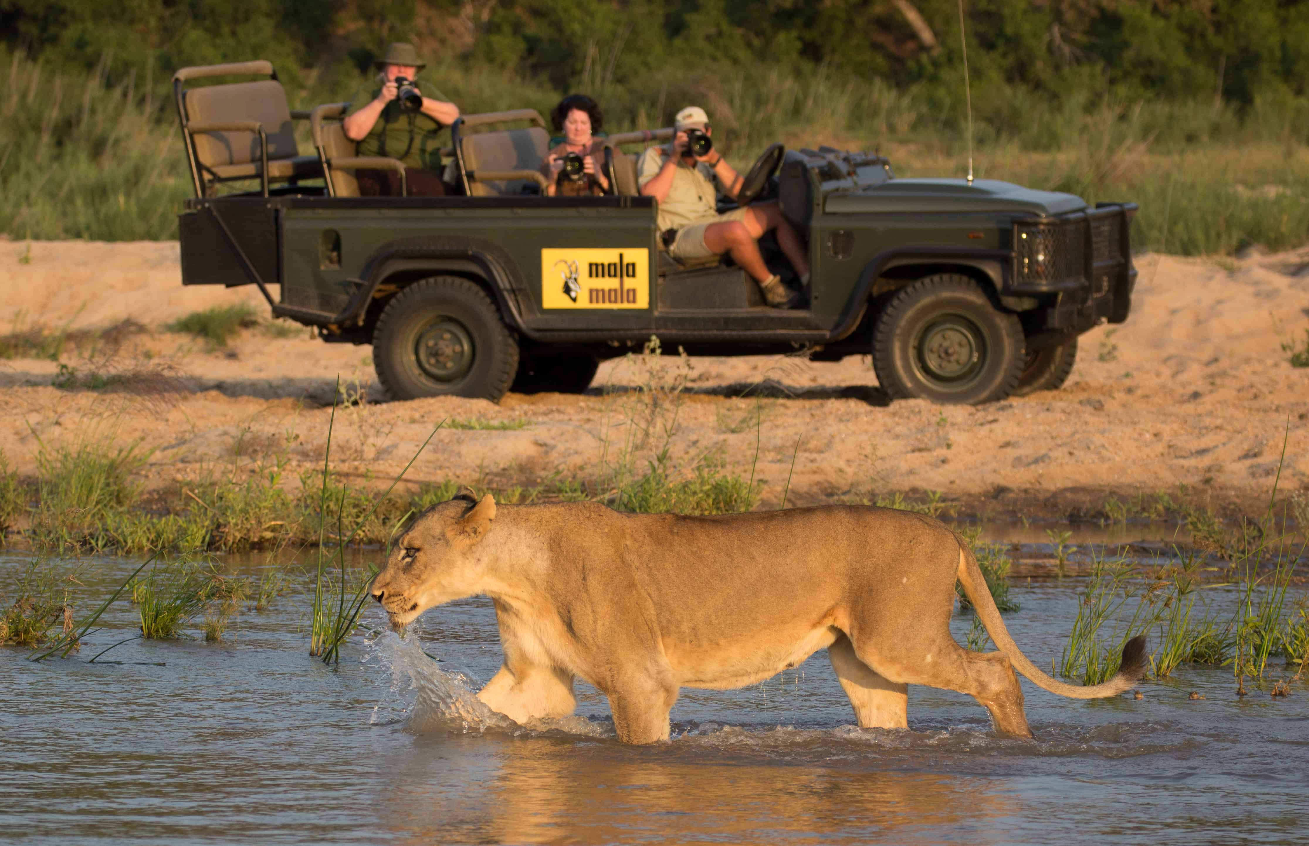 15 Day African Safari Selfdrive to Kruger Park & Garden 15 Day African Safari Selfdrive to Kruger Park & Garden