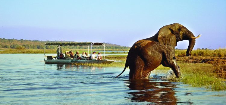 Why Botswana is The Ultimate Safari Destination and On Trend