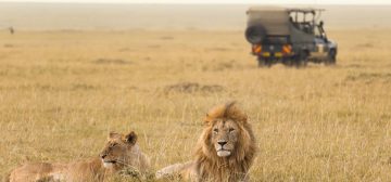Marty & Patti’s Epic 47 Day Journey Through East Africa