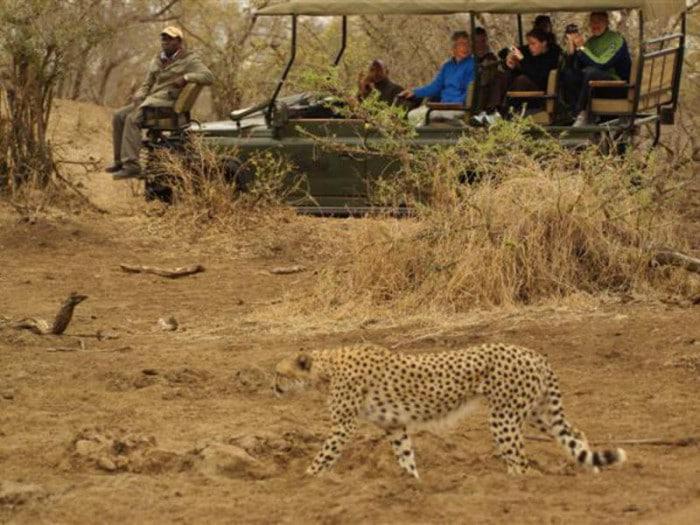 Honeyguide Khoka Moya Tented Camp