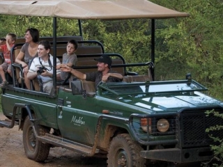 Madikwe Safari Lodge 15 Madikwe Safari Lodge