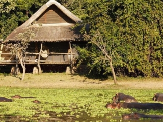 Mfuwe Lodge