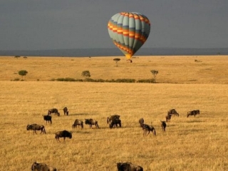 Air balloon flying over Masai Mara