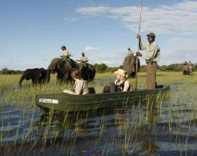 Top 5 Places In Africa To Interact With Elephants Seeing elephants at Abu Camp