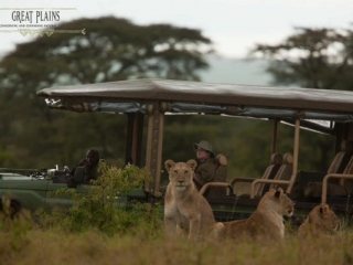 Mara Plains Camp