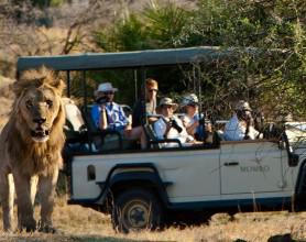 Africa’s Finest: Botswana’s Top 4 Eco-Retreats On Safari at Mombo Camp