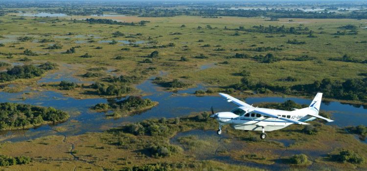 Flying over the Okavango Delta