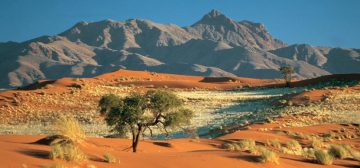 Wolwedans: Is This Namibia’s Greenest Camp?