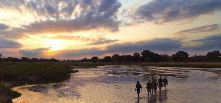 Africa’s Finest: Our Top 5 Eco-Resorts in Zambia
