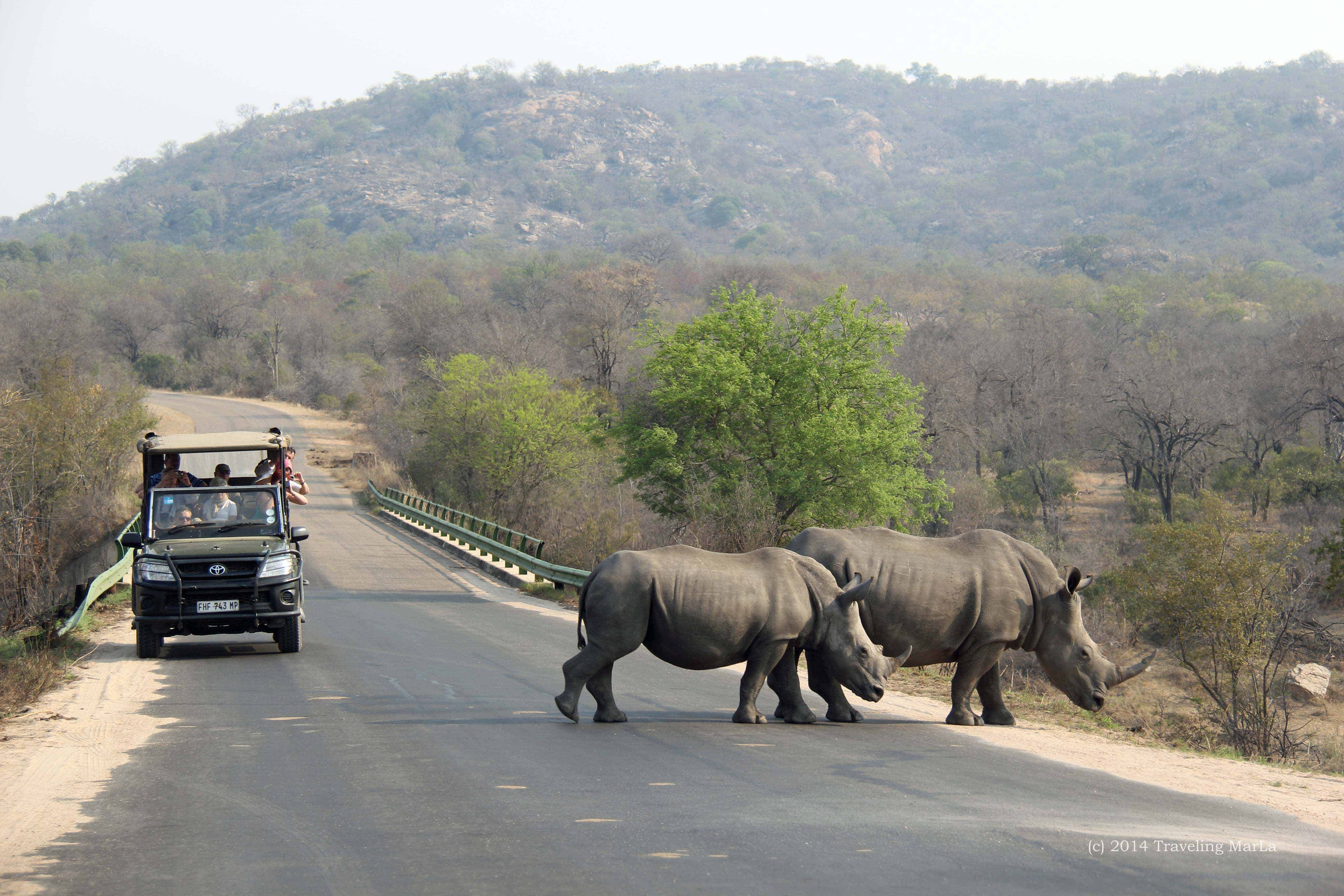 safari parks in south africa