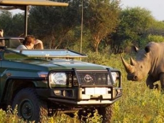 marataba-safari-lodge-rhino Rhino on safari at Marataba Safari Lodge