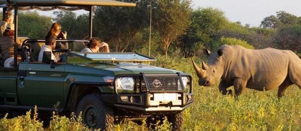 Rhino on safari at Marataba Safari Lodge