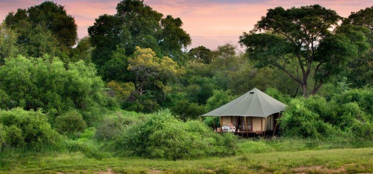 Our Top 10 Luxury Safari Camps: Experience Africa Under Canvas