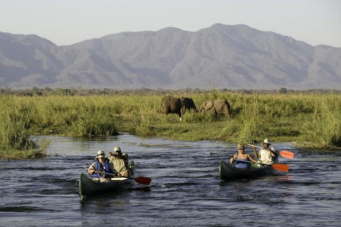 adventure canoeing at mana pools national park