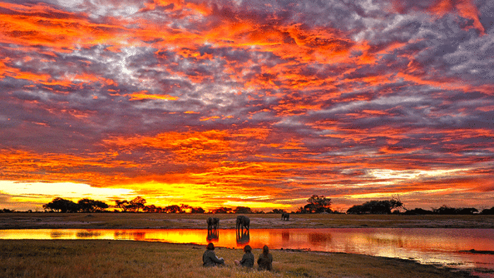 sunset on zambezi river