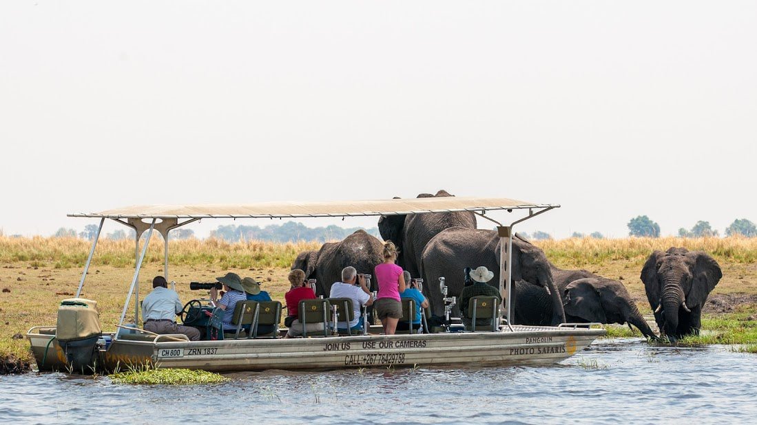 African Photographic Safaris - Where To Go - Southern Destinations