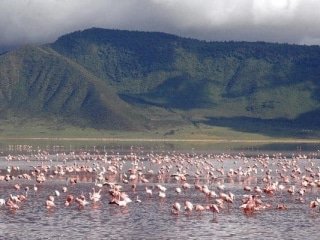 Ngorongoro Crater