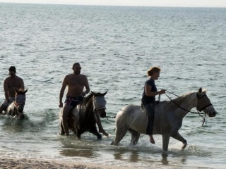 benguerra-island-swimming_with_horses_06