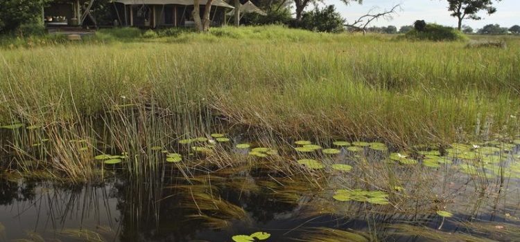 Update on water levels in the Okavango Delta