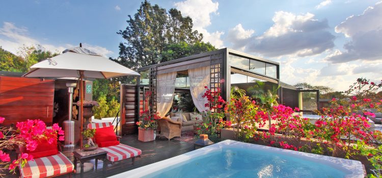 Outside - pool area - The Residence Johannesburg