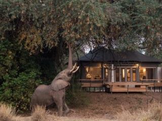 chikwenya_wildlife_2000px_-_kyle_and_ruth_234_of_334