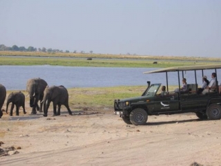 Chobe_under_canvas_gamedrive3