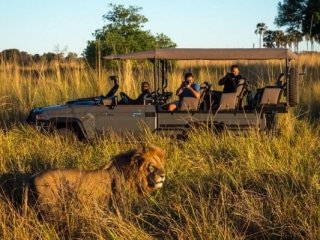 qorokwe_2017-11-32e