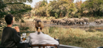 Is It a Good Idea to Combine Southern and East Africa for a Safari Trip?