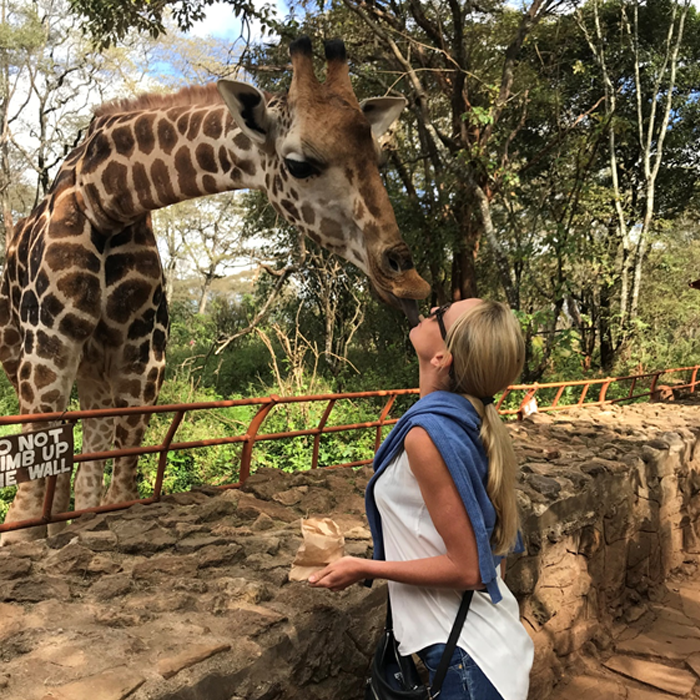 Giraffe kisses at the Giraffe Foundation in Kenya
