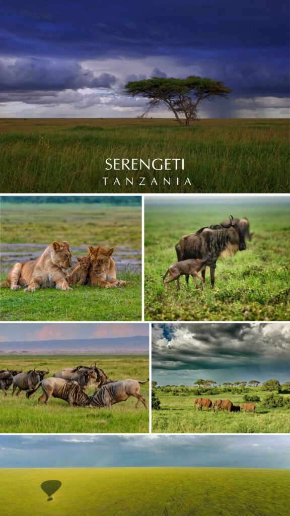 Green Season in the Serengeti - Tanzania