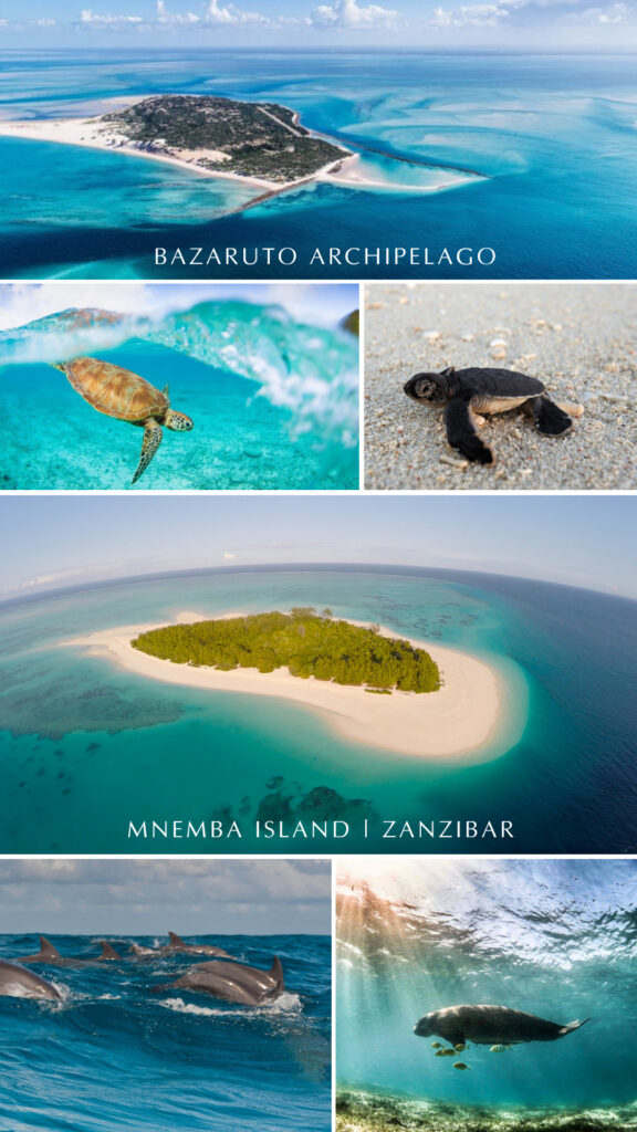 Summer sea safari - Indian Ocean islands - Mnemba Island in Zanzibar and the Bazaruto Archipelago in Mozambique