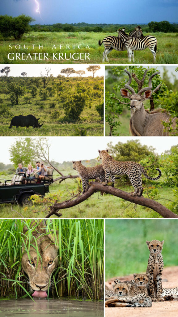 Greater Kruger in South Africa - The Green Season 