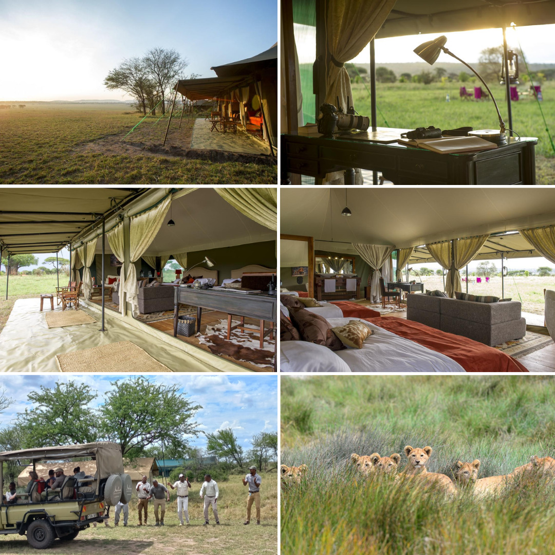 Kaskaz Camp - Northern Serengeti - Southern Destinations - African Safaris