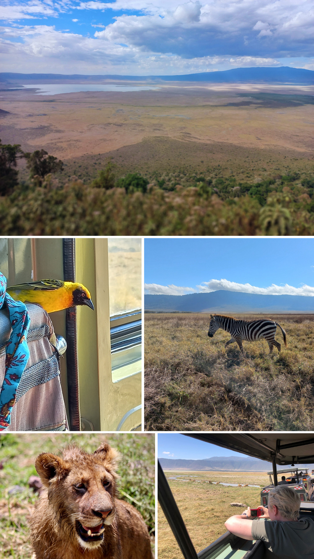 Daisy's photos from the Ngorongoro Crater game drive