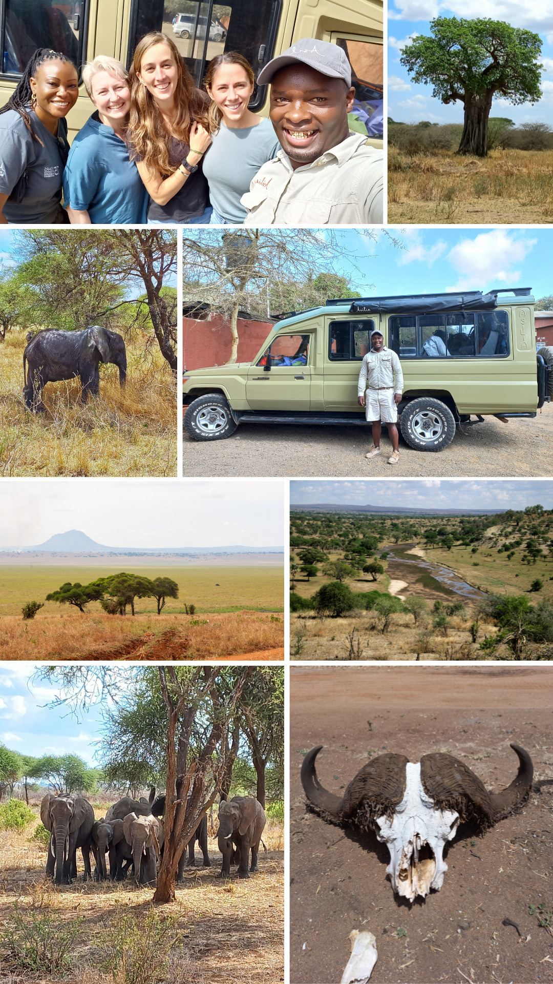 Daisy's trip to Tanzania's Tarangire National Park
