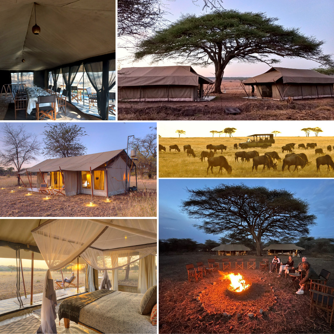 Ubuntu Migration Camp - Southern Destinations - African Safaris