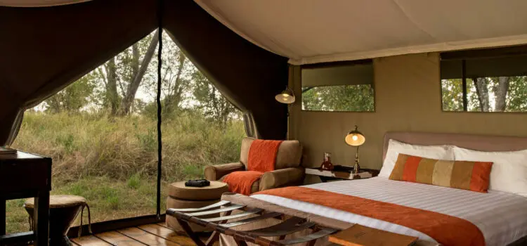 Safari Lodge, Tented Camp, Mobile Camp & Bush Camp: What’s the Difference?