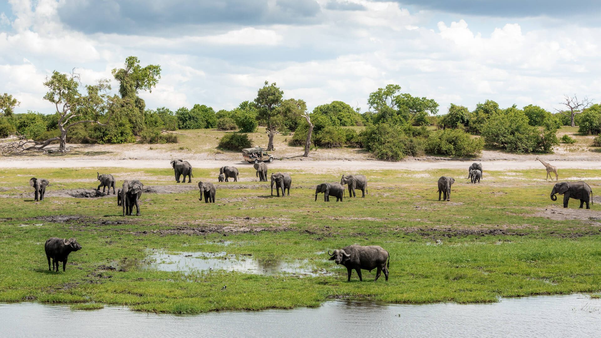 The Best Time to Travel to East Africa & Southern Africa for Safari