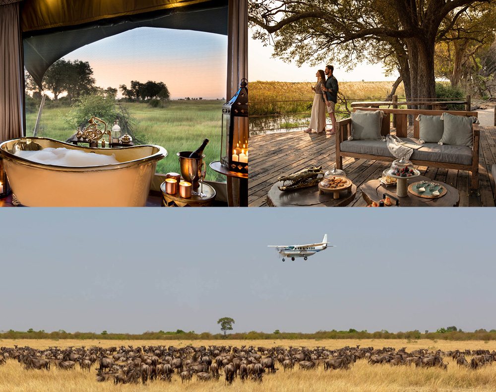 Honeymoon safari in Africa
