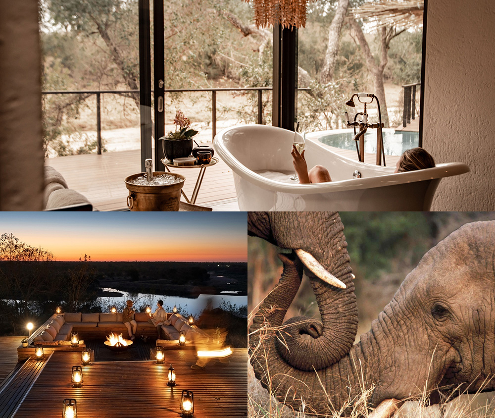 The romance of honeymoon safari in Southern Africa