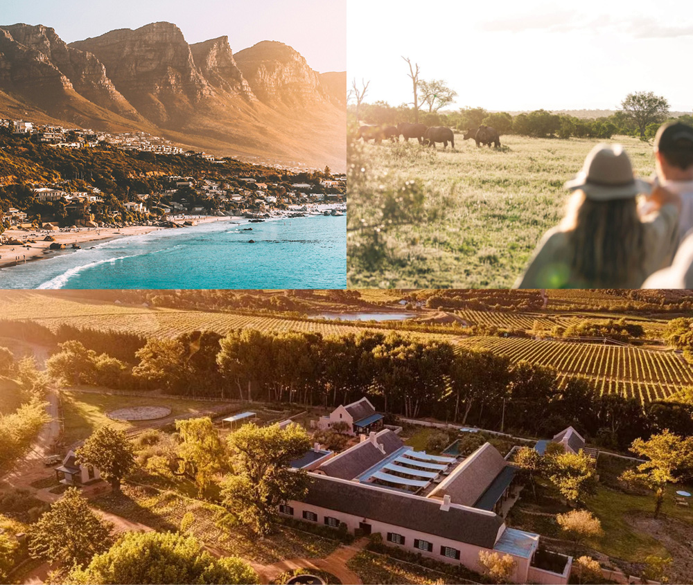 Honeymoon safari exploring 12 Apostles in Cape Town, Cape Winelands and a Bush Safari