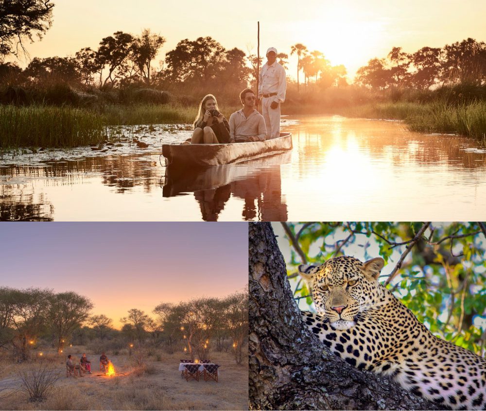 mokor in hte okavango delta, out door dining and big cat safaris in Southern Africa