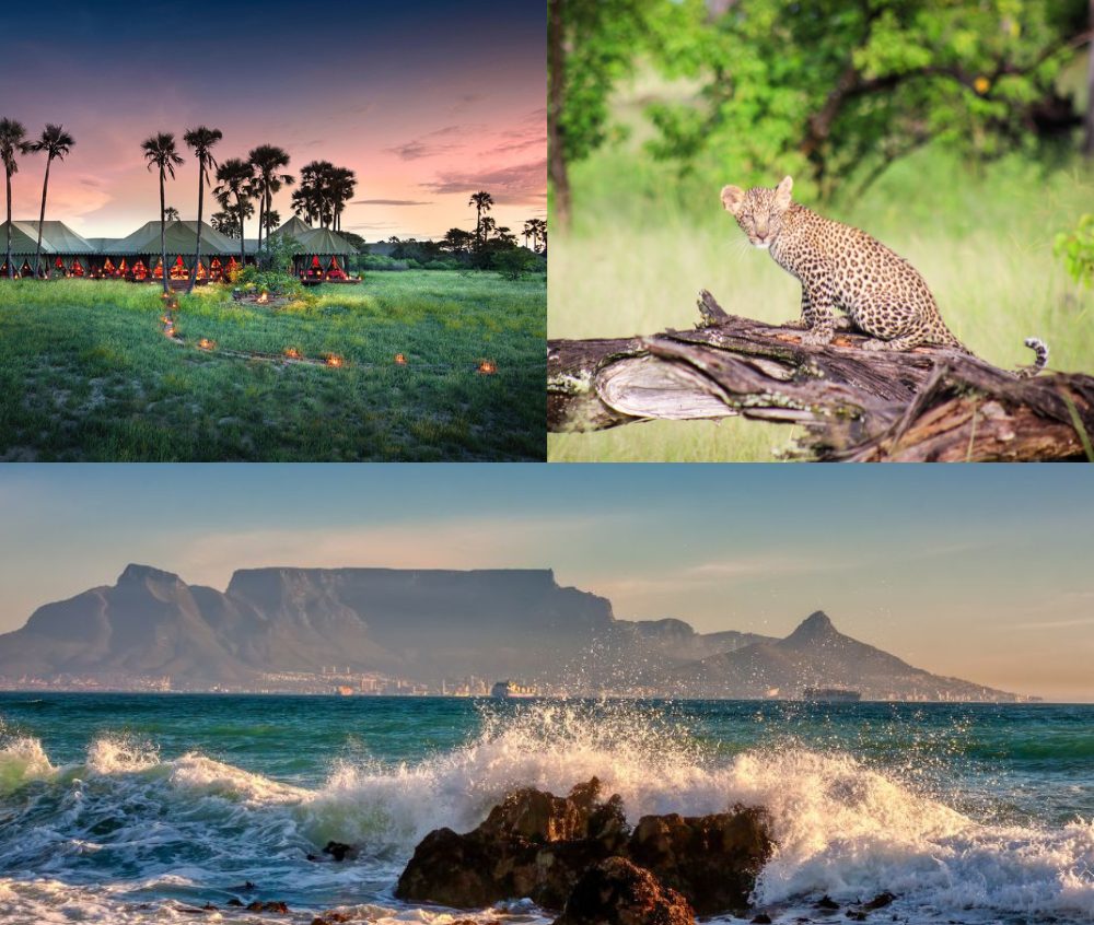 Jacks Camp in Botswana, big cat safaris and Cape Town combined in a Southern Africa safari