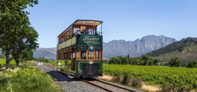 Activities in Franschhoek