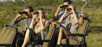 The Definitive Safari Packing Guide: What to Pack, What to Skip, and Our Insider Secrets from 30+ Years of Safari Planning Expertise