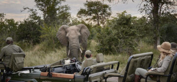 Farmstead at Royal Malewane