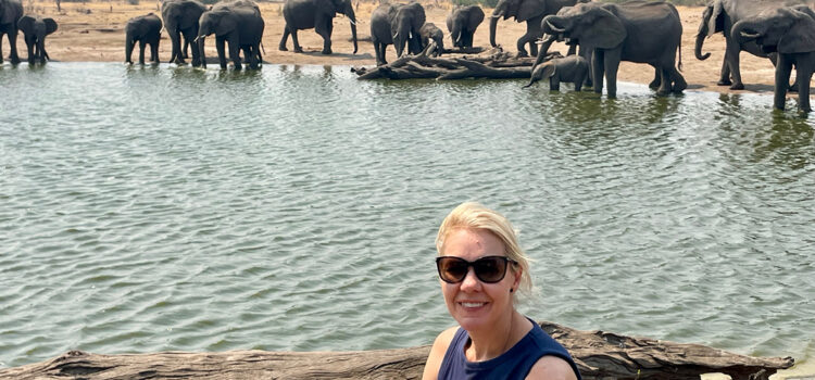 Zimbabwe Safari Magic: Exploring Hwange, Lake Kariba & Mana Pools with African Bush Camps